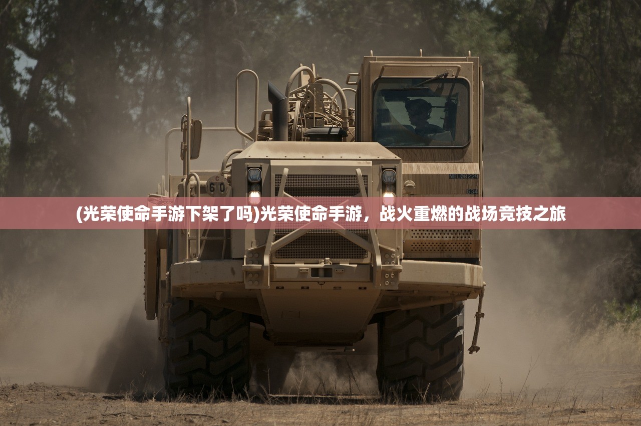 (我是掌门李少阳扮演者)我是掌门李少阳，探索领导之路与独特视角