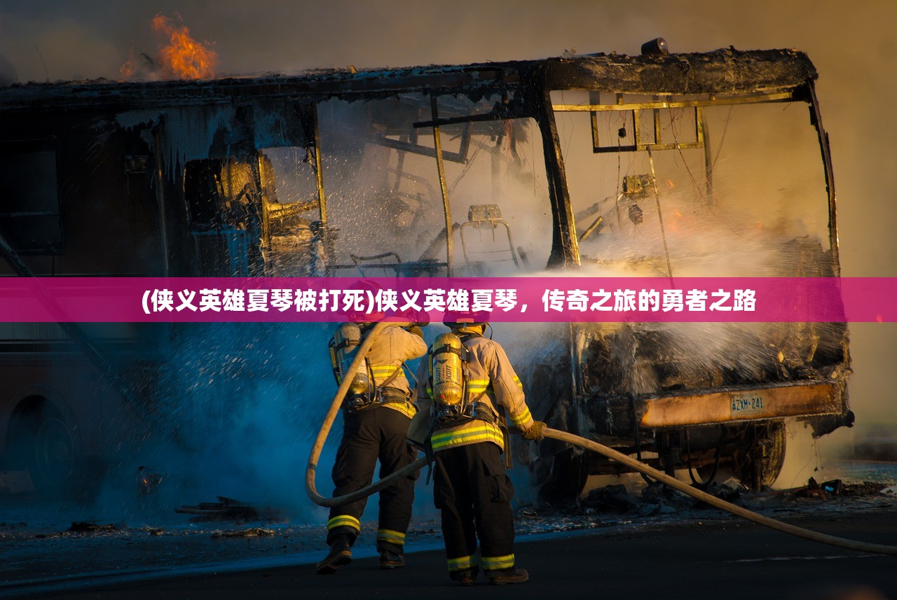 (侠义英雄夏琴被打死)侠义英雄夏琴，传奇之旅的勇者之路