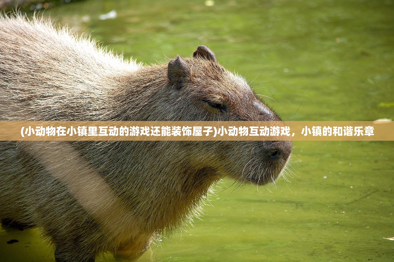 (小动物在小镇里互动的游戏还能装饰屋子)小动物互动游戏，小镇的和谐乐章