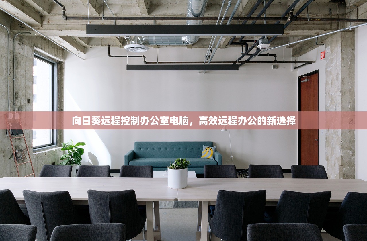 向日葵远程控制办公室电脑，高效远程办公的新选择