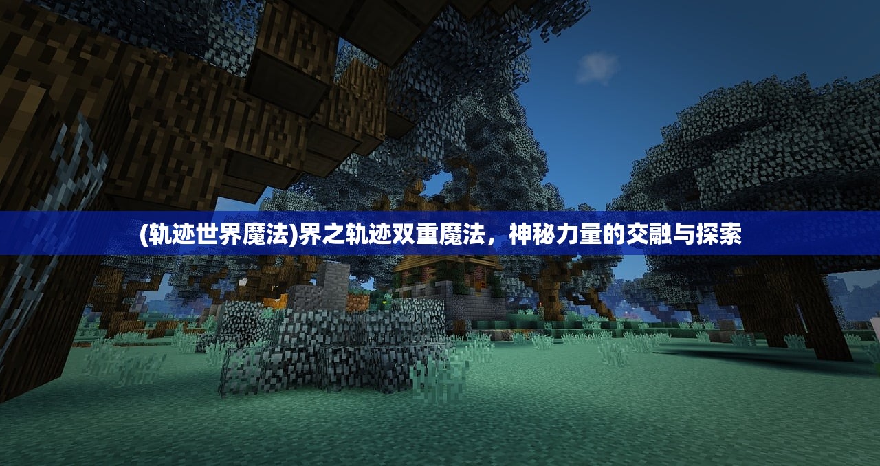 (轨迹世界魔法)界之轨迹双重魔法，神秘力量的交融与探索