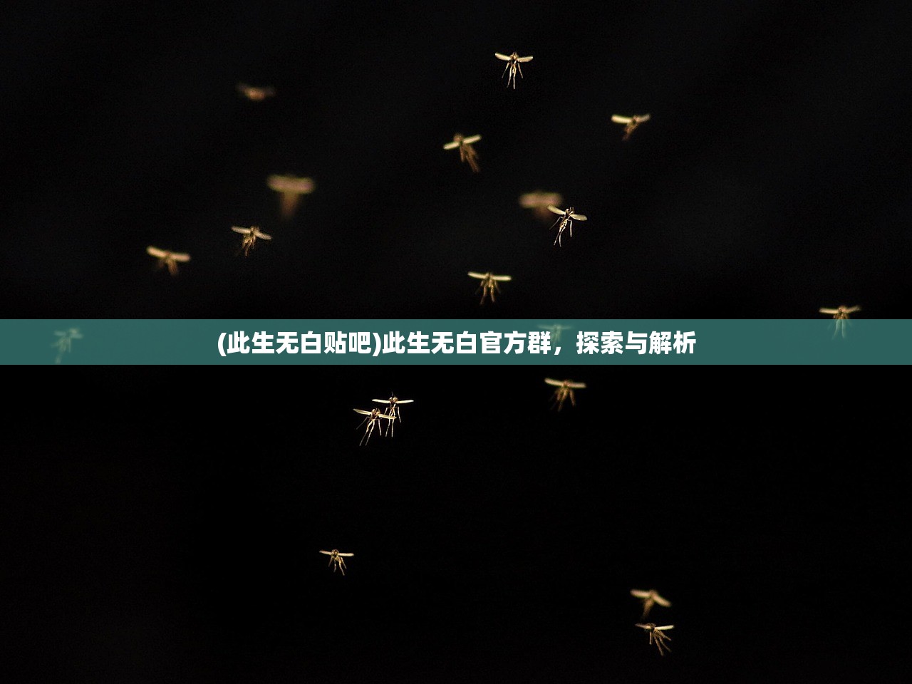 (此生无白贴吧)此生无白官方群，探索与解析