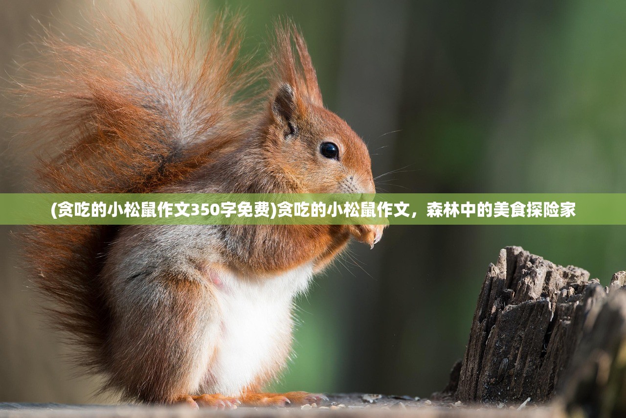 (贪吃的小松鼠作文350字免费)贪吃的小松鼠作文，森林中的美食探险家