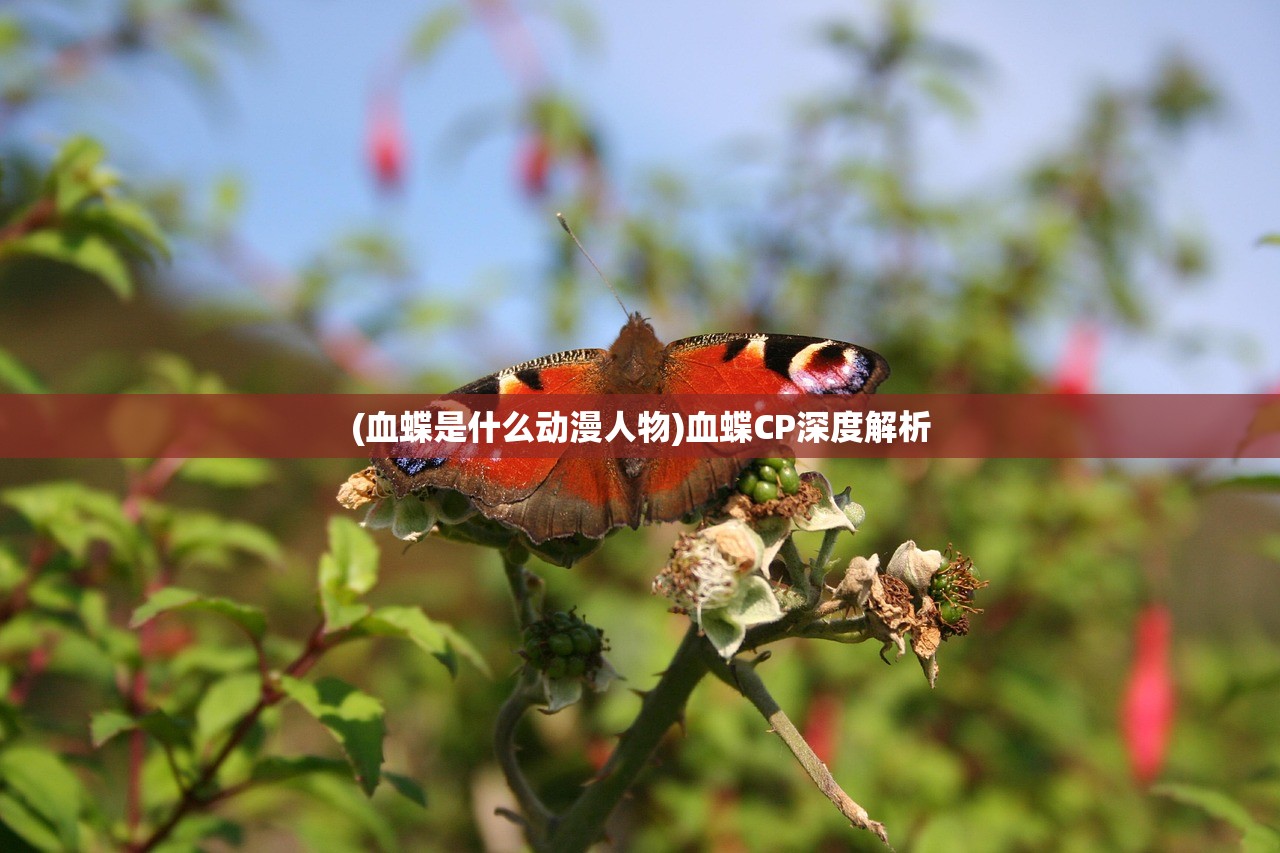 (传奇游戏开发者怎么赚钱)传奇游戏开发者，铸就游戏辉煌的幕后英雄