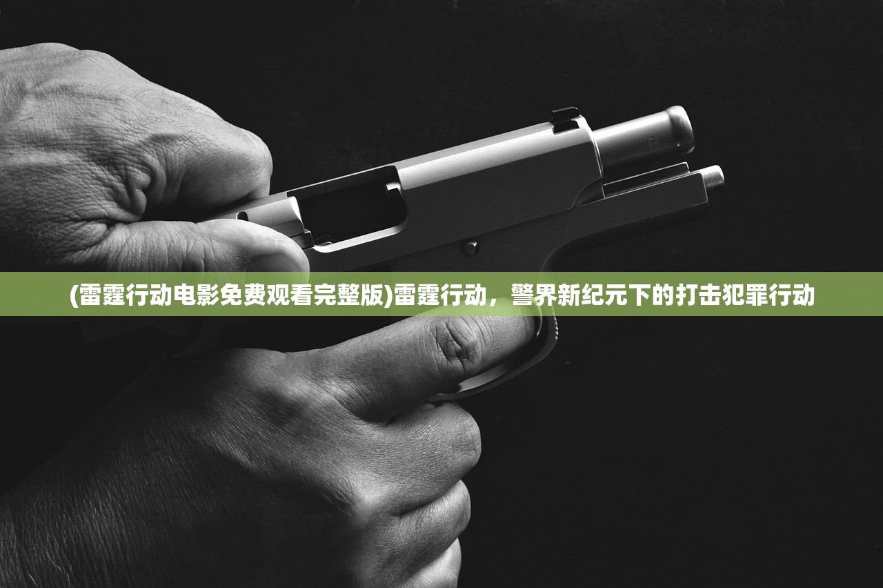 (雷霆行动电影免费观看完整版)雷霆行动，警界新纪元下的打击犯罪行动