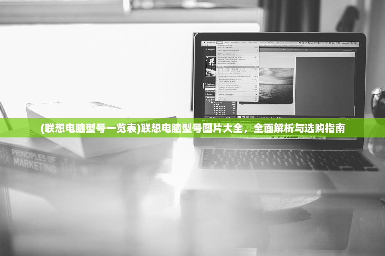 (提灯与地下城宠物最强搭配)提灯与地下城宠物最强攻略，你的终极指南