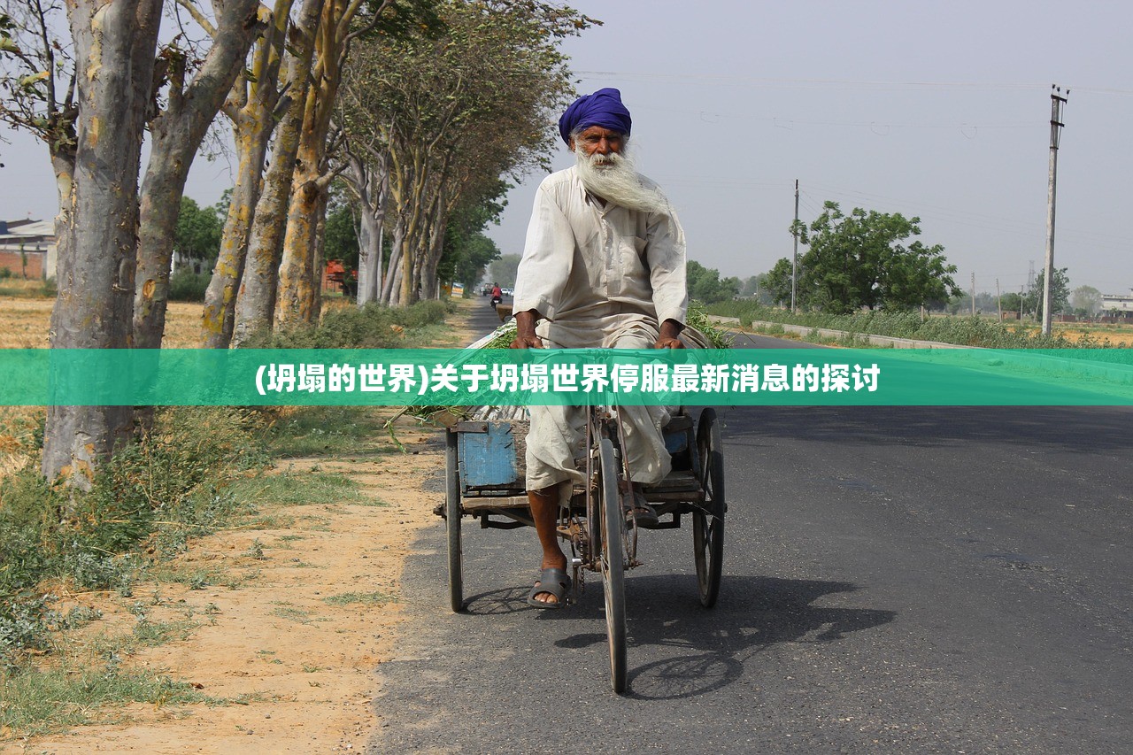 (坍塌的世界)关于坍塌世界停服最新消息的探讨
