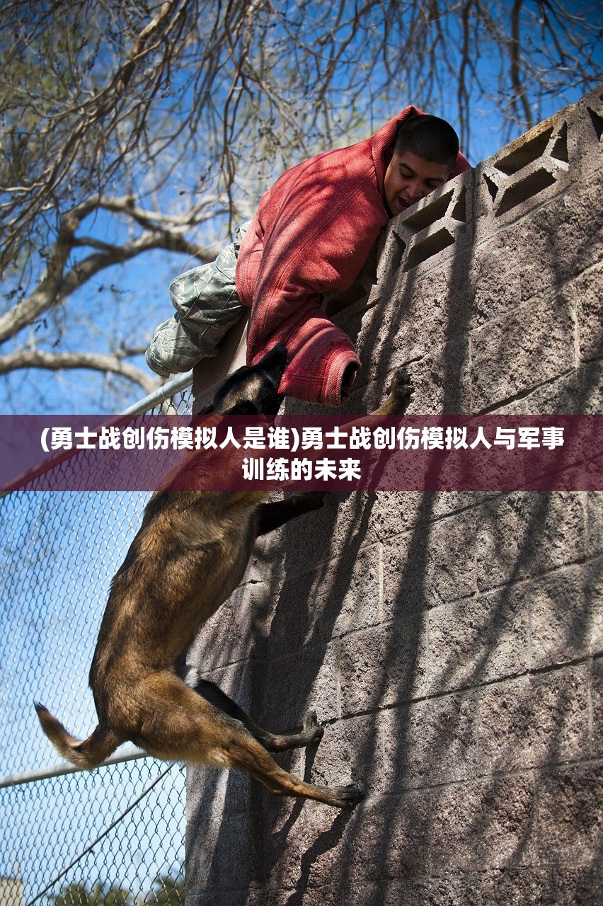 (勇士战创伤模拟人是谁)勇士战创伤模拟人与军事训练的未来