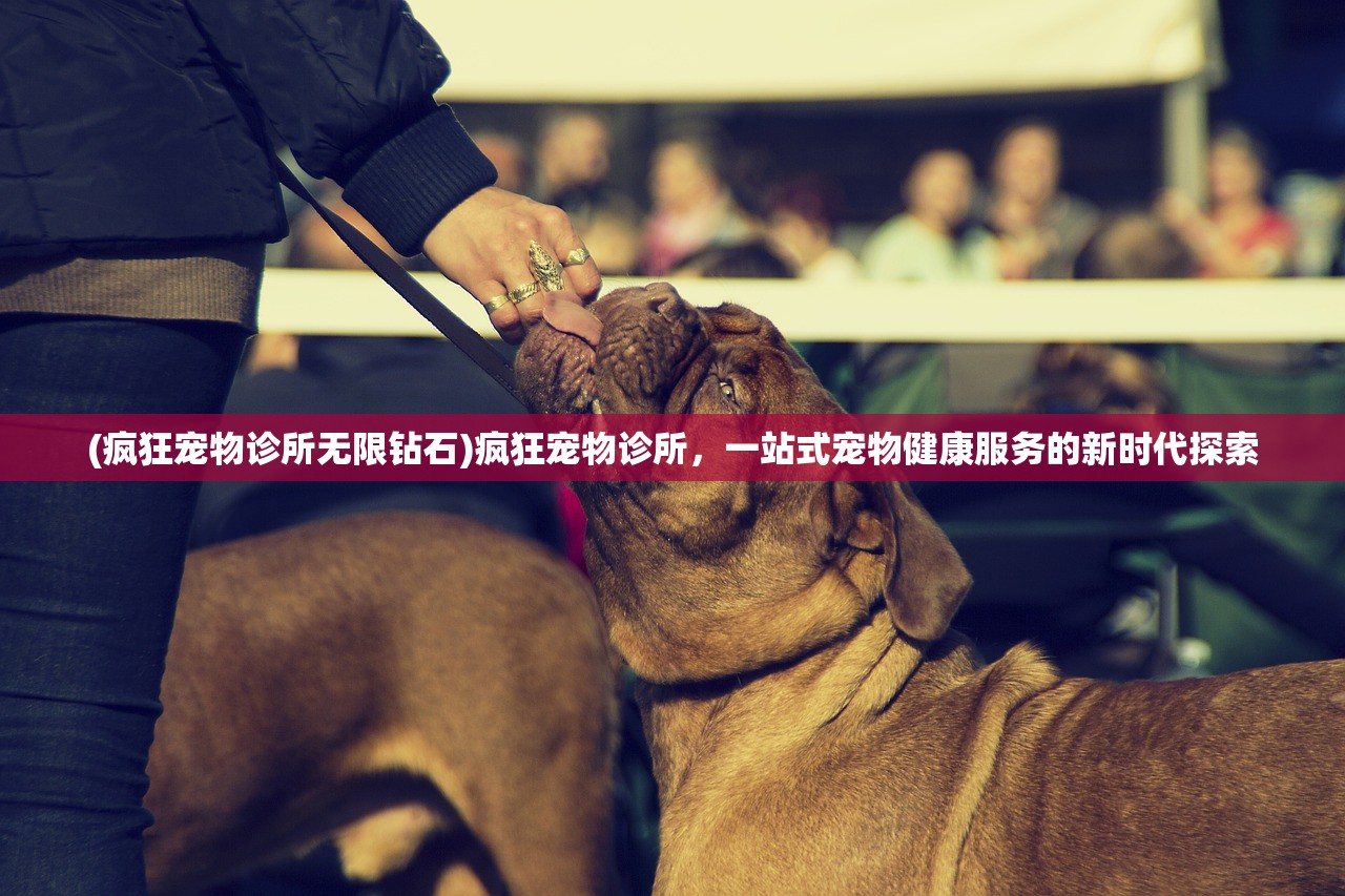 (疯狂宠物诊所无限钻石)疯狂宠物诊所，一站式宠物健康服务的新时代探索
