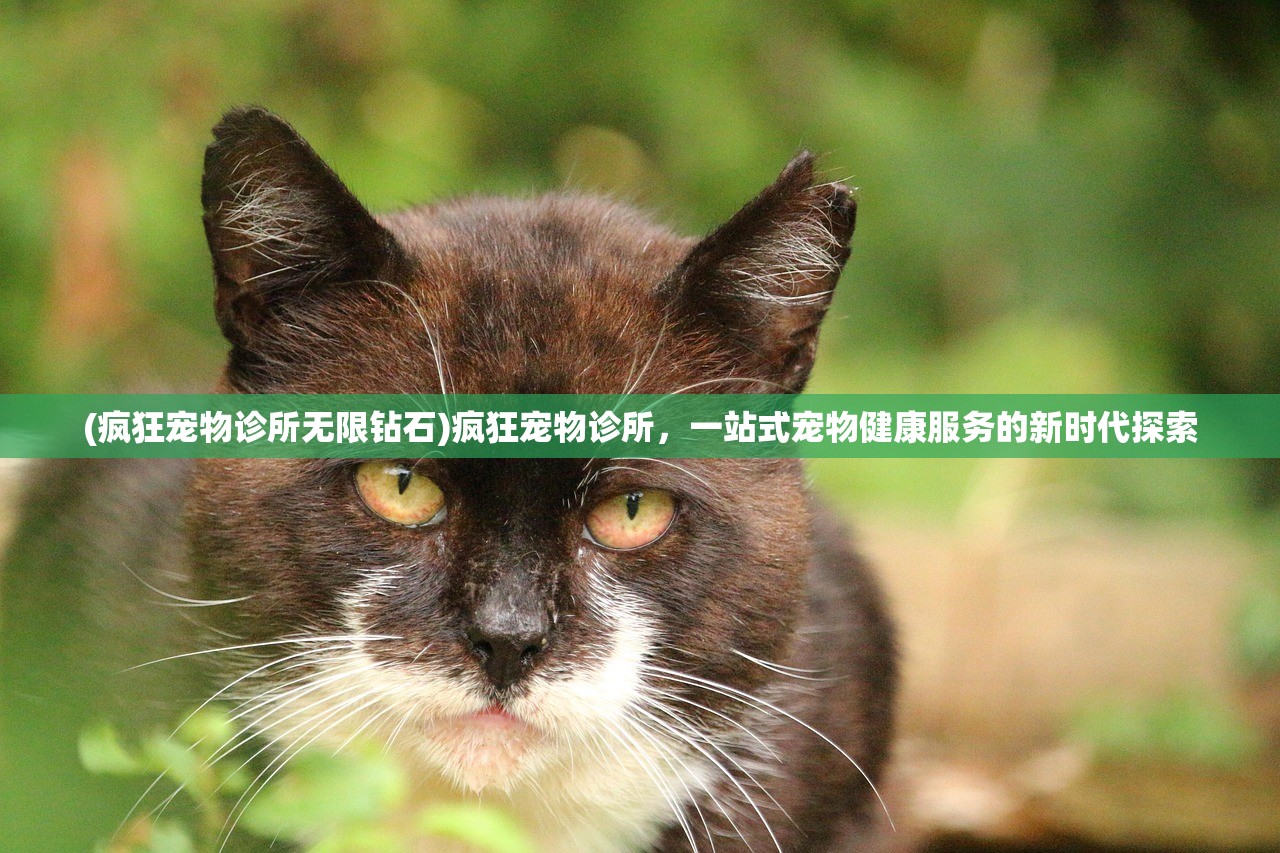 (疯狂宠物诊所无限钻石)疯狂宠物诊所，一站式宠物健康服务的新时代探索