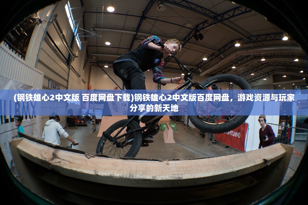 (钢铁雄心2中文版 百度网盘下载)钢铁雄心2中文版百度网盘，游戏资源与玩家分享的新天地