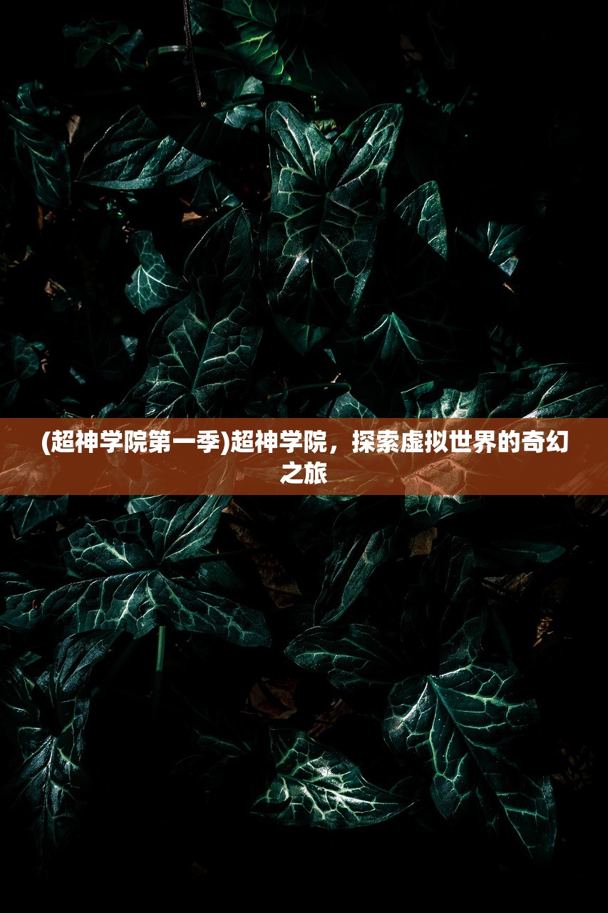 (超神学院第一季)超神学院，探索虚拟世界的奇幻之旅