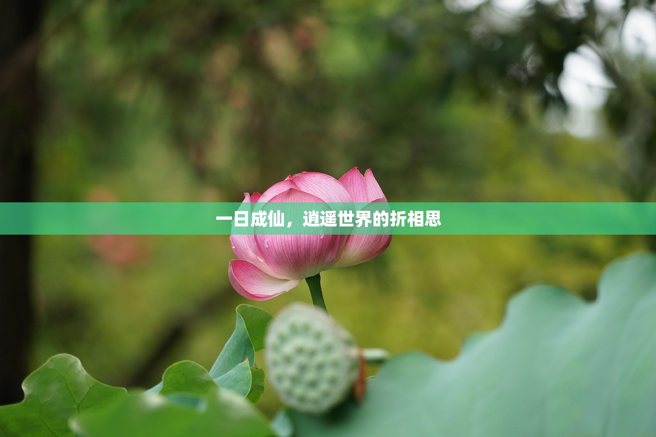 一日成仙，逍遥世界的折相思
