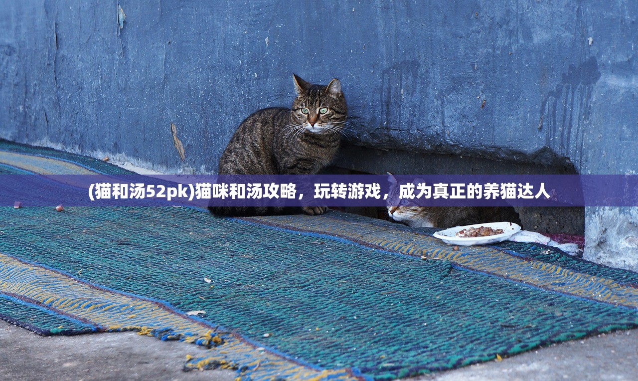 (猫和汤52pk)猫咪和汤攻略，玩转游戏，成为真正的养猫达人