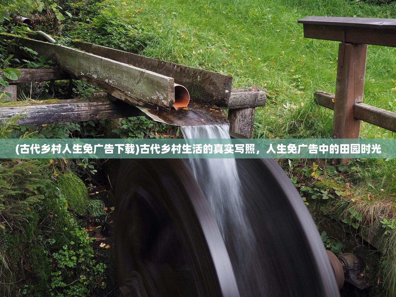(古代乡村人生免广告下载)古代乡村生活的真实写照，人生免广告中的田园时光