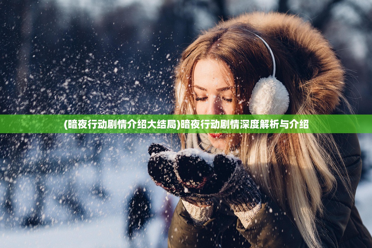 (暗夜行动剧情介绍大结局)暗夜行动剧情深度解析与介绍