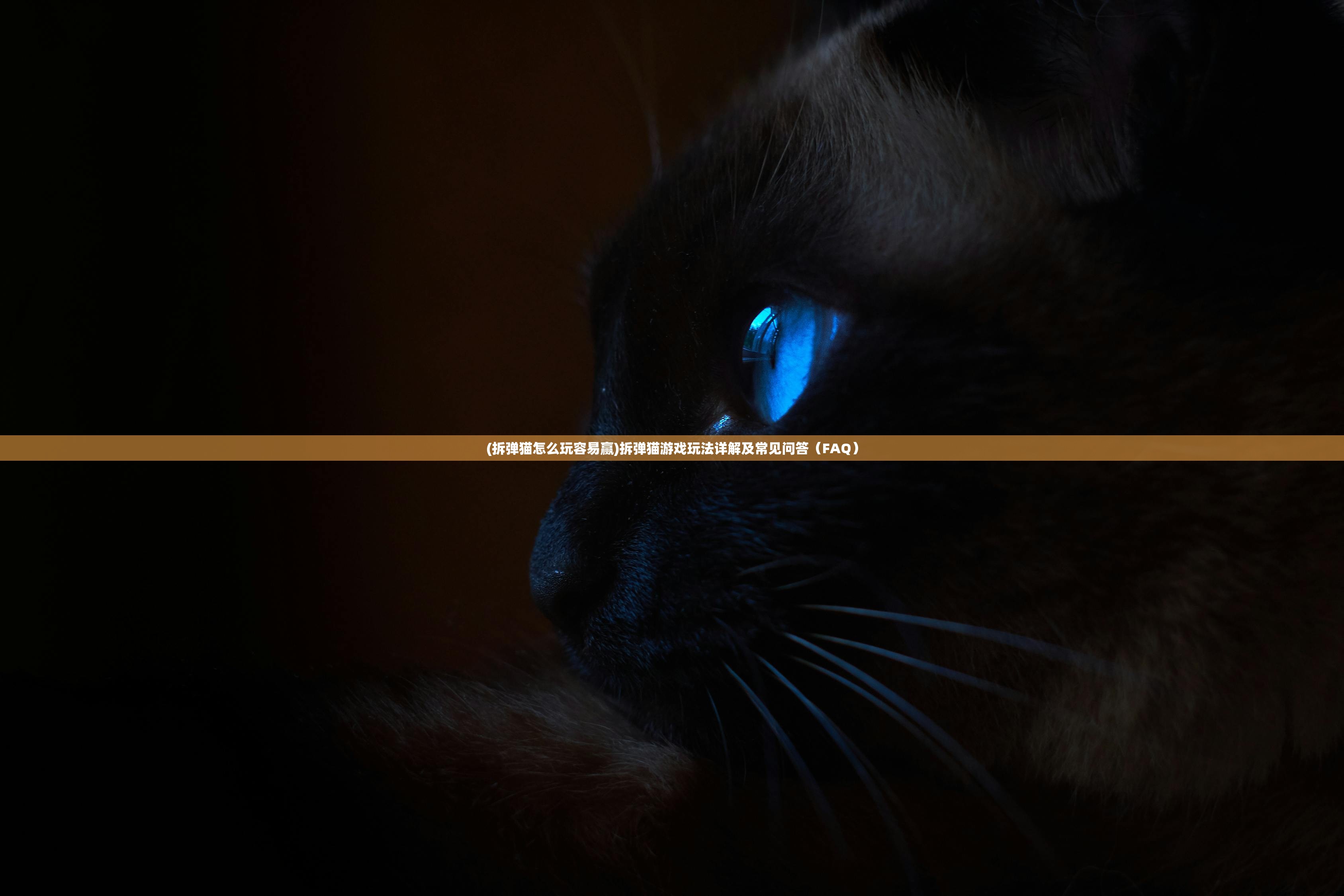 (拆弹猫怎么玩容易赢)拆弹猫游戏玩法详解及常见问答（FAQ）