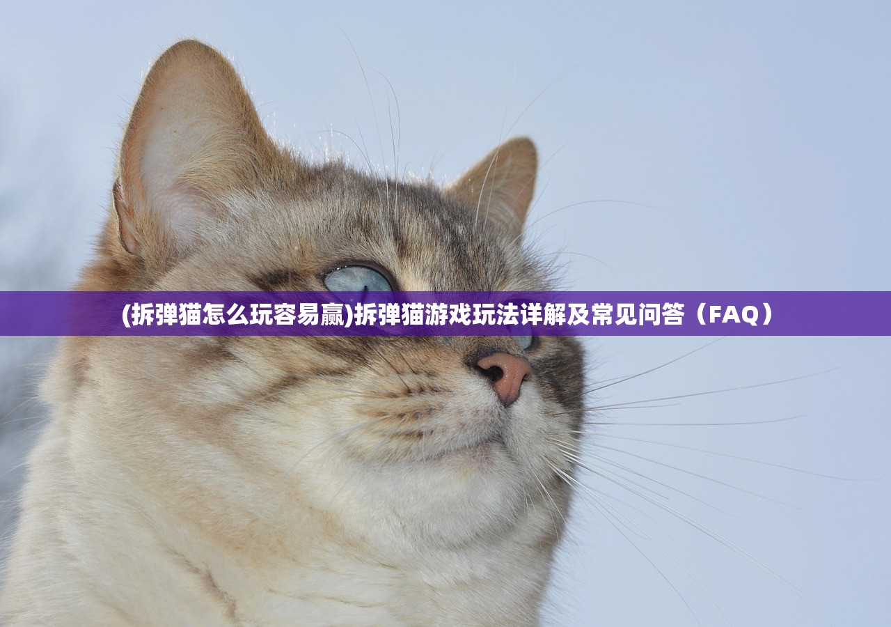 (拆弹猫怎么玩容易赢)拆弹猫游戏玩法详解及常见问答（FAQ）