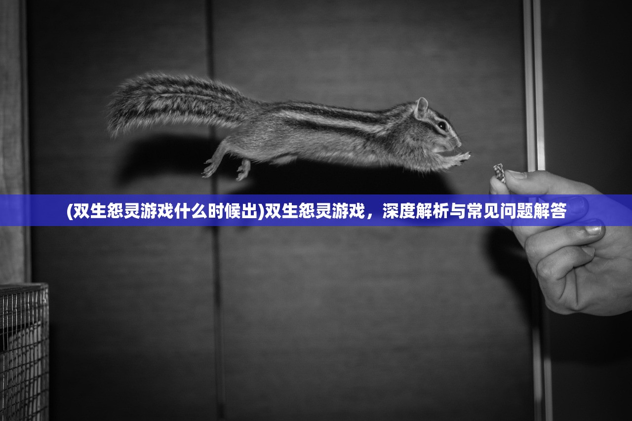 (双生怨灵游戏什么时候出)双生怨灵游戏，深度解析与常见问题解答