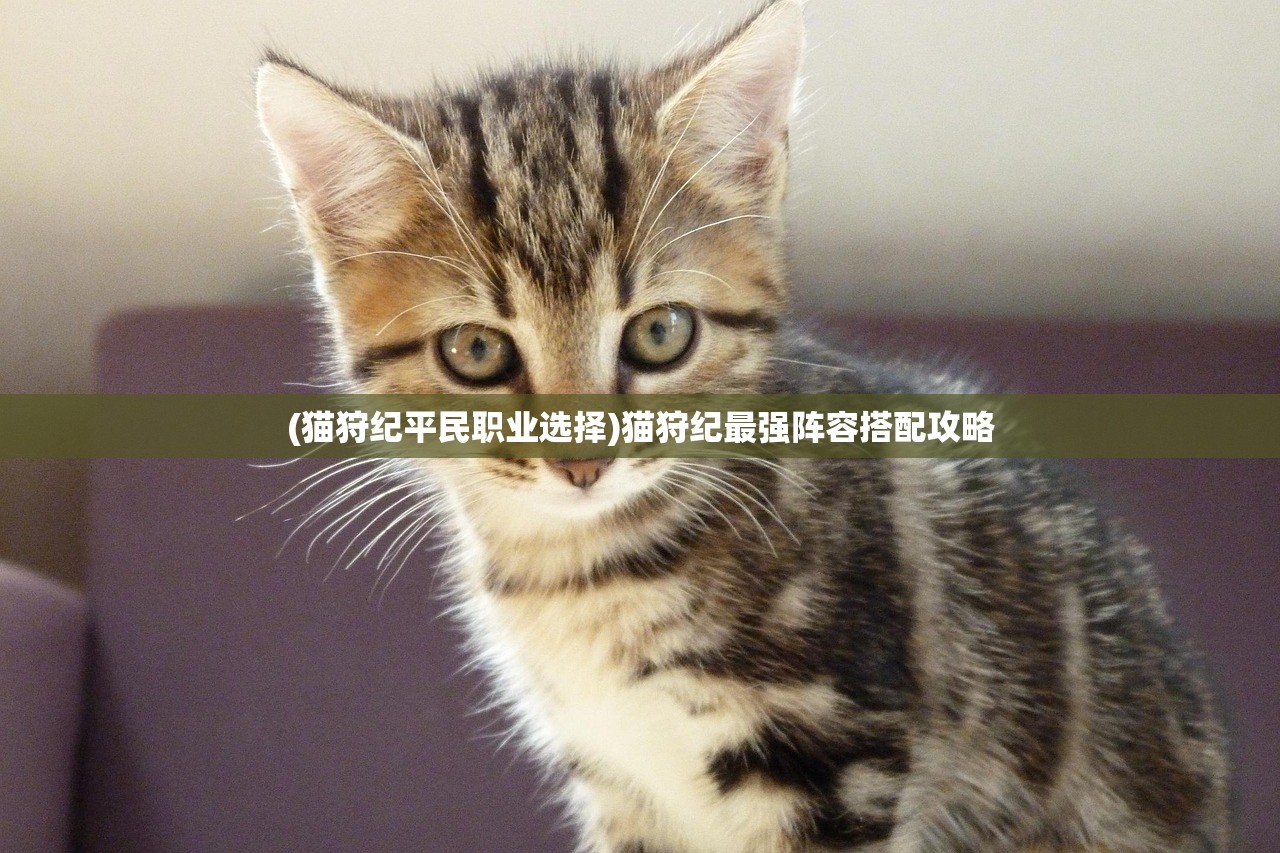 (猫狩纪平民职业选择)猫狩纪最强阵容搭配攻略