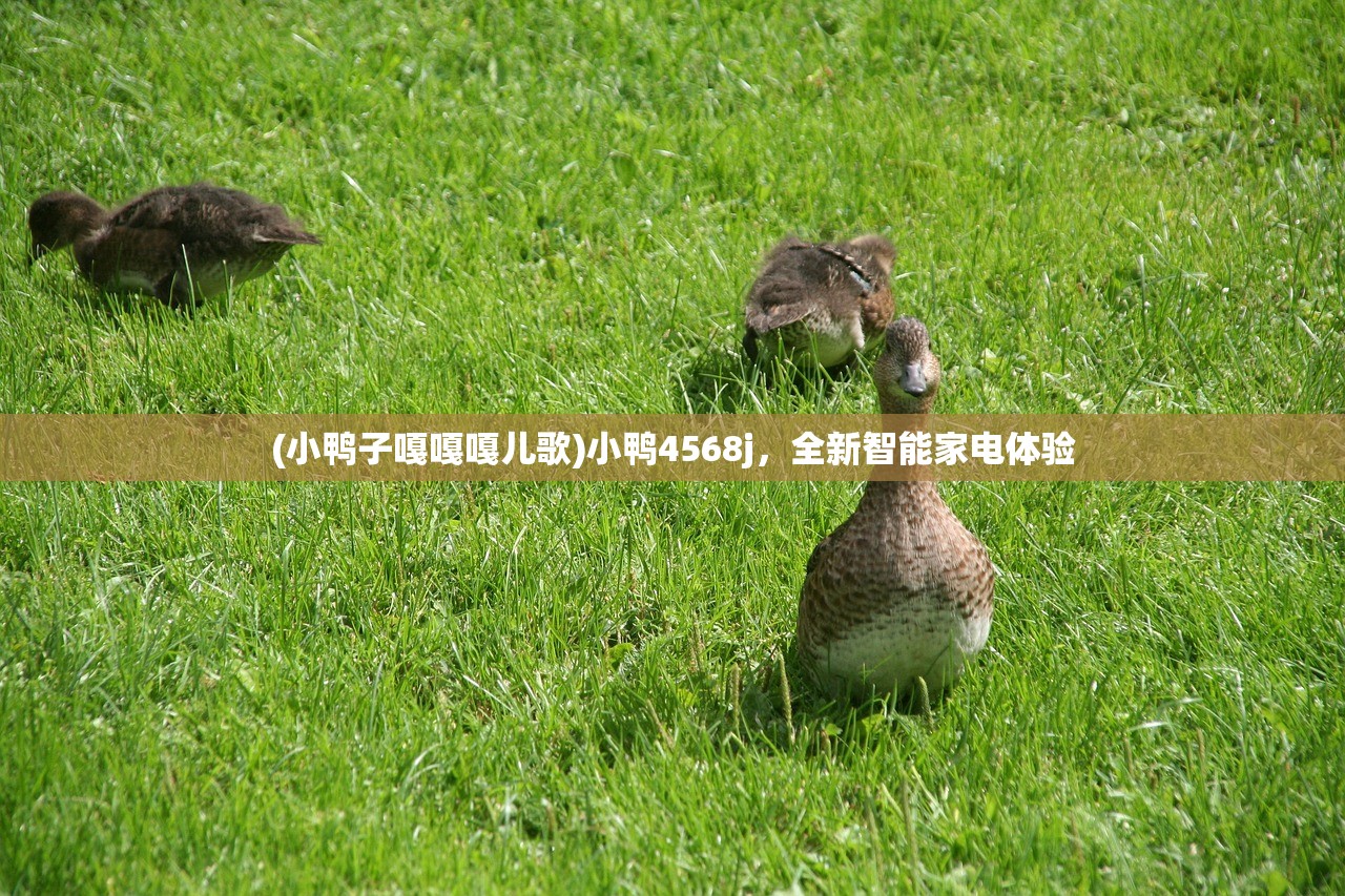 (小鸭子嘎嘎嘎儿歌)小鸭4568j，全新智能家电体验