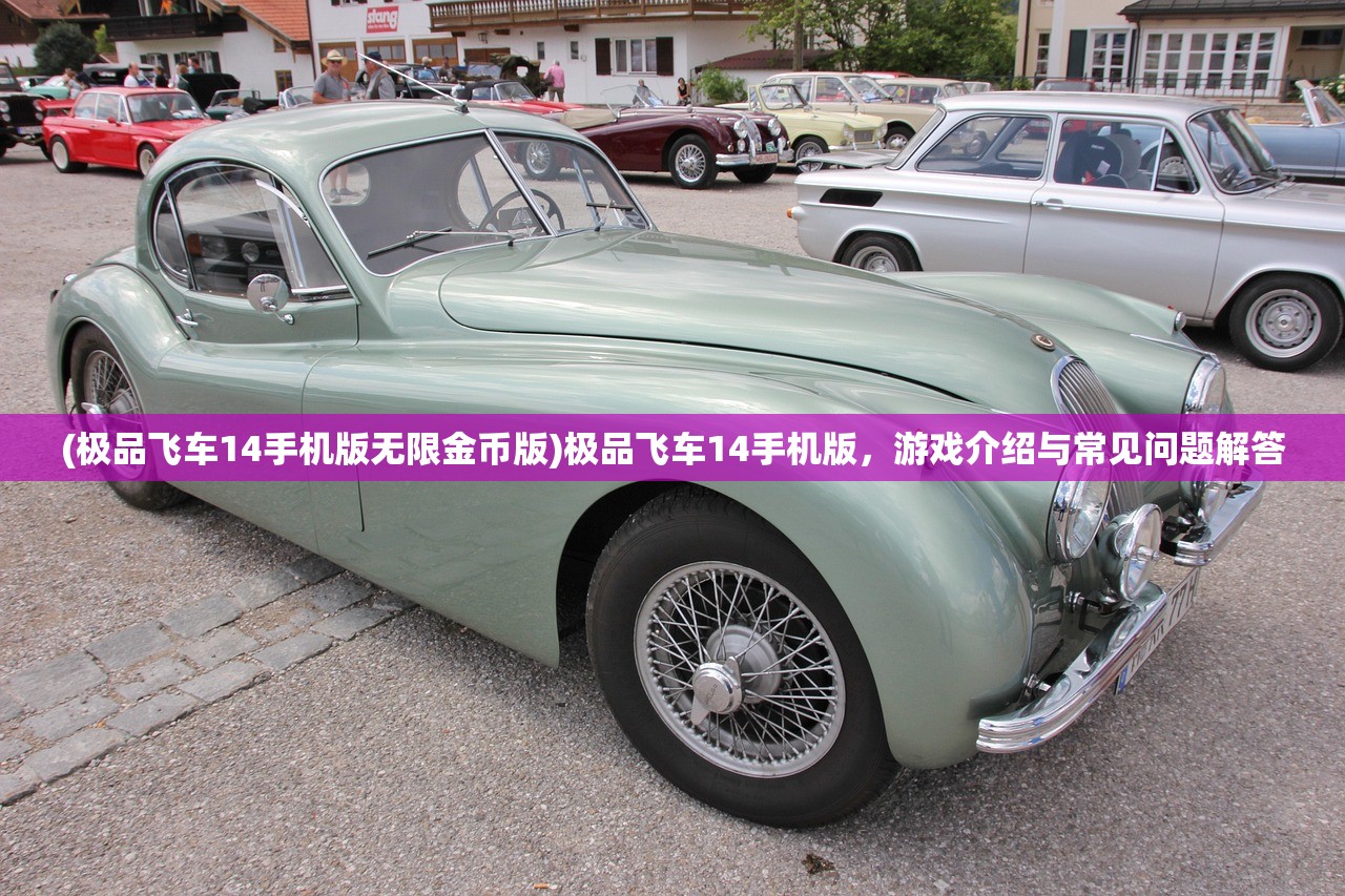 (极品飞车14手机版无限金币版)极品飞车14手机版，游戏介绍与常见问题解答