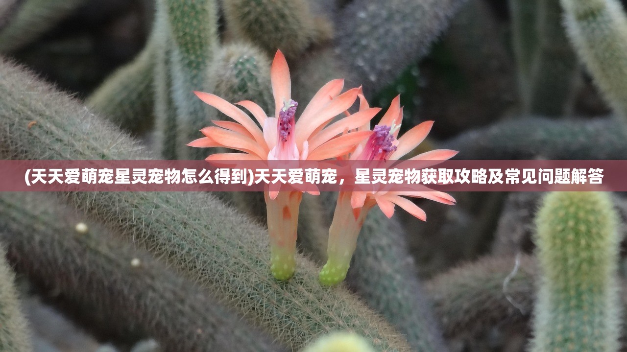 (天天爱萌宠星灵宠物怎么得到)天天爱萌宠，星灵宠物获取攻略及常见问题解答