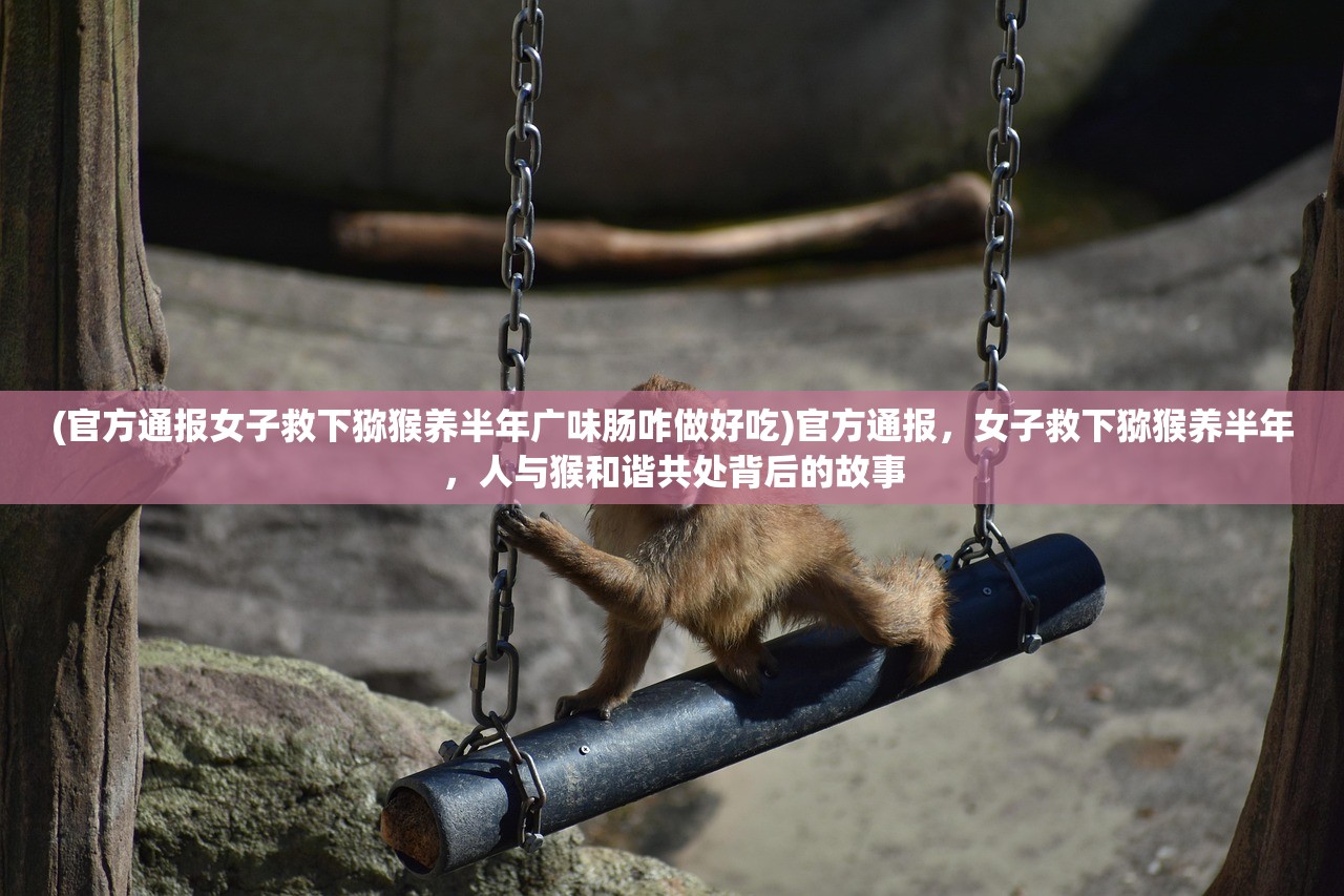 (官方通报女子救下猕猴养半年广味肠咋做好吃)官方通报，女子救下猕猴养半年，人与猴和谐共处背后的故事