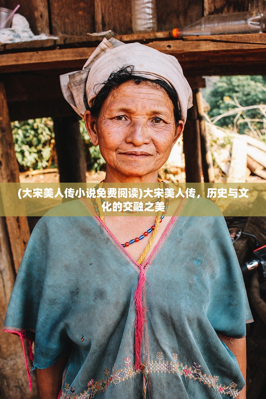 (大宋美人传小说免费阅读)大宋美人传，历史与文化的交融之美