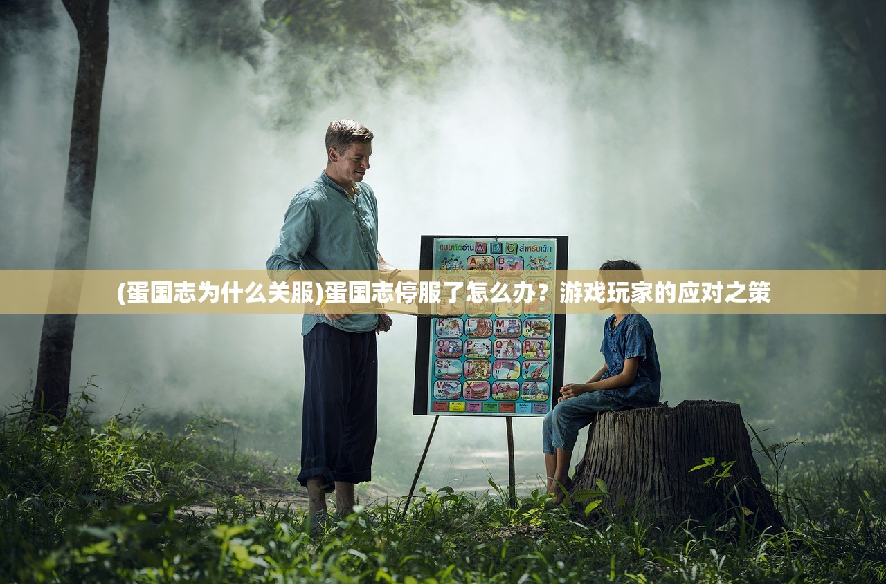 (蛋国志为什么关服)蛋国志停服了怎么办？游戏玩家的应对之策