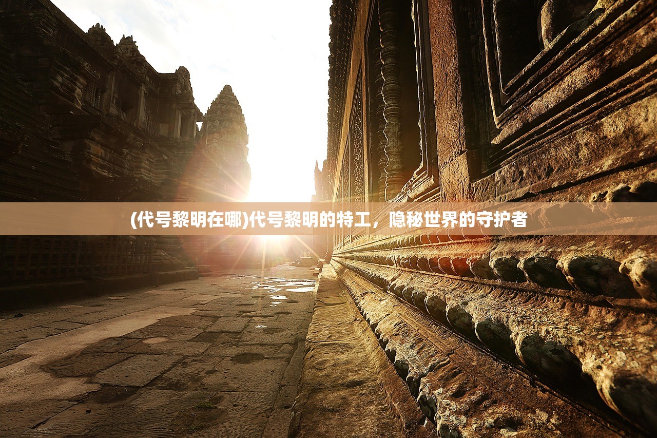 (代号黎明在哪)代号黎明的特工，隐秘世界的守护者