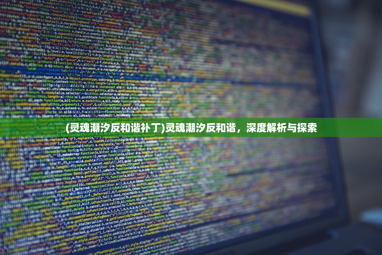 (灵魂潮汐反和谐补丁)灵魂潮汐反和谐，深度解析与探索