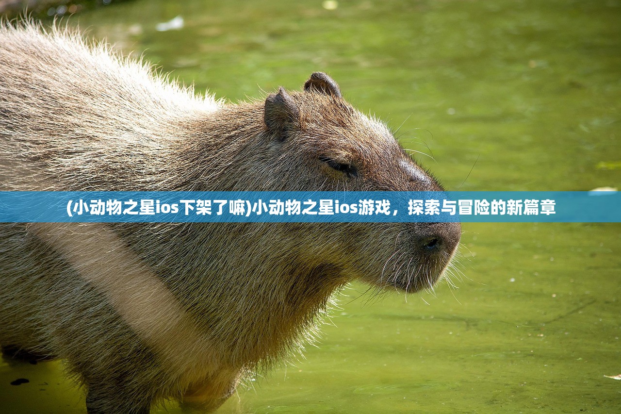 (小动物之星ios下架了嘛)小动物之星ios游戏，探索与冒险的新篇章