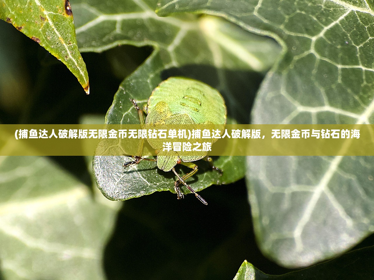 (捕鱼达人破解版无限金币无限钻石单机)捕鱼达人破解版，无限金币与钻石的海洋冒险之旅