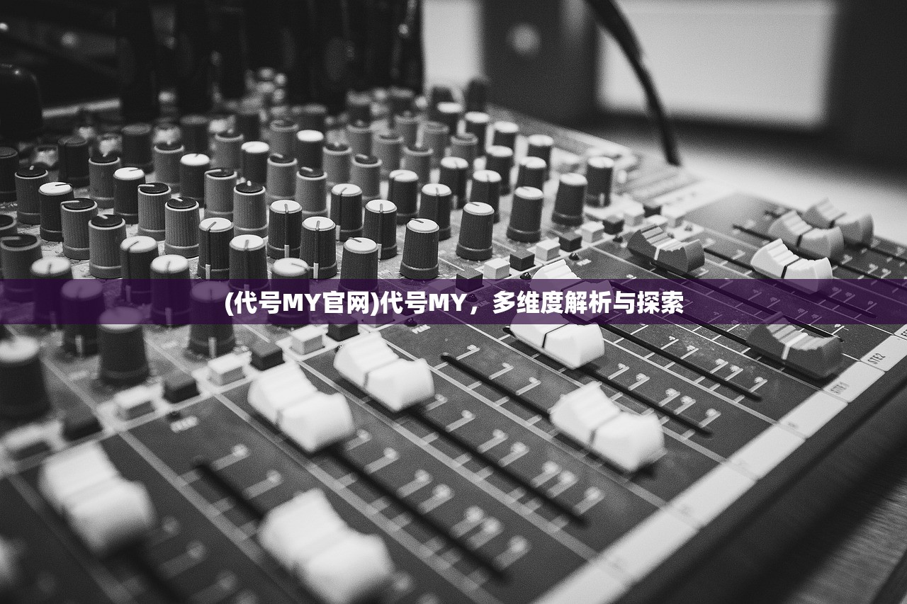 (代号MY官网)代号MY，多维度解析与探索