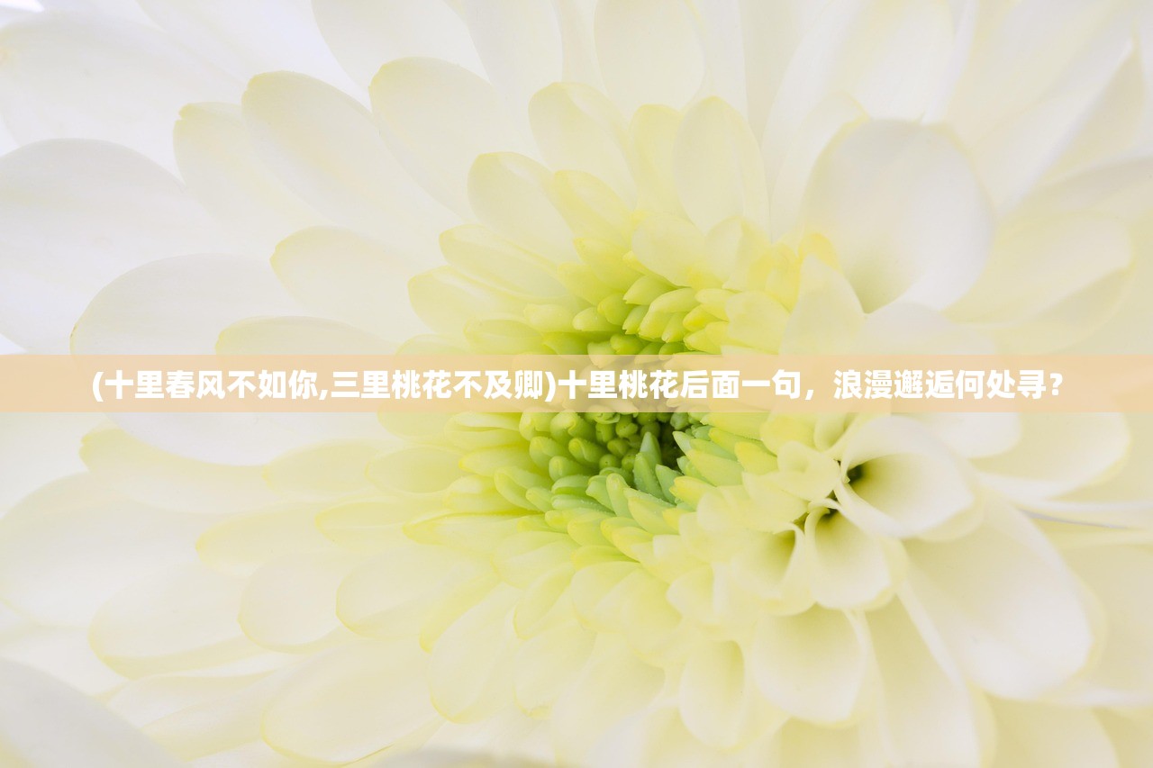 (十里春风不如你,三里桃花不及卿)十里桃花后面一句，浪漫邂逅何处寻？