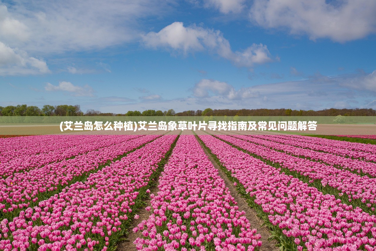 (艾兰岛怎么种植)艾兰岛象草叶片寻找指南及常见问题解答