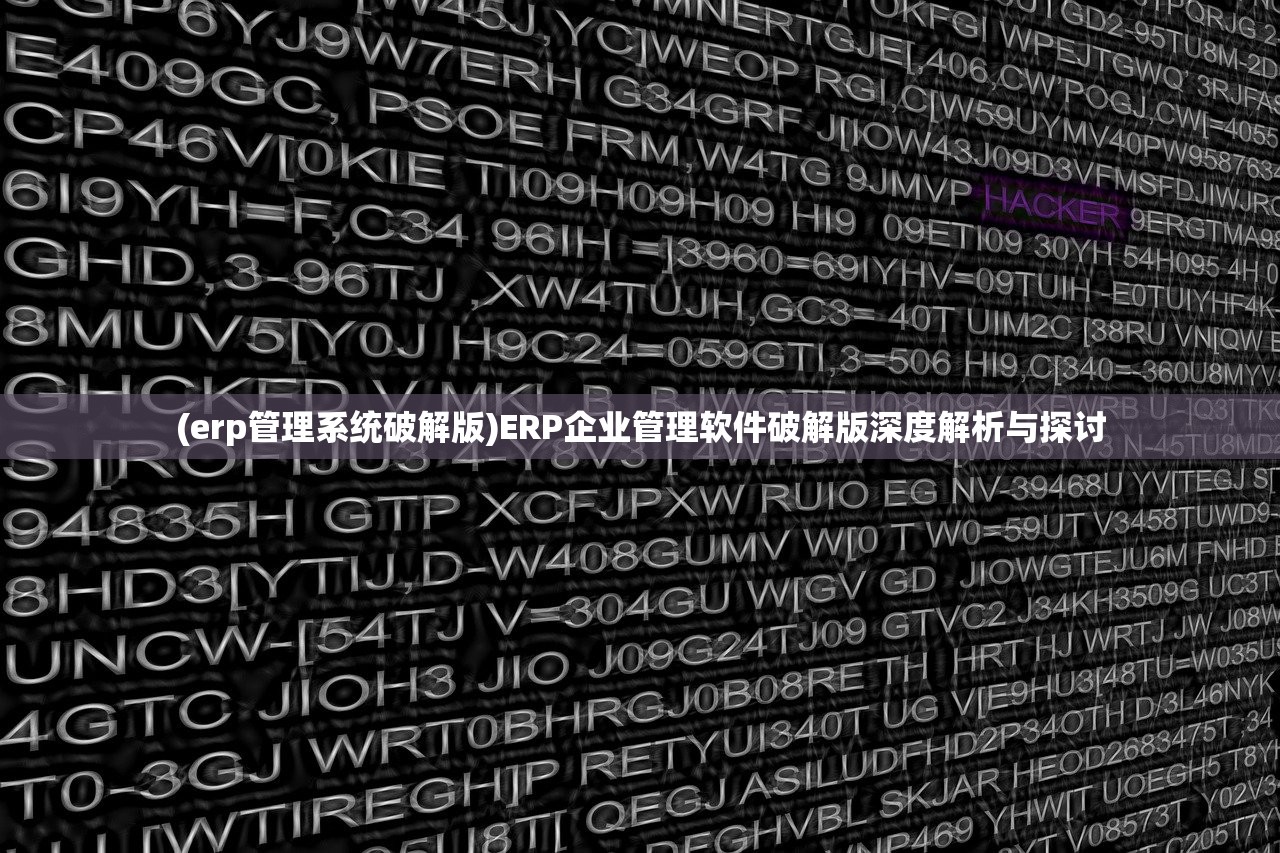 (erp管理系统破解版)ERP企业管理软件破解版深度解析与探讨