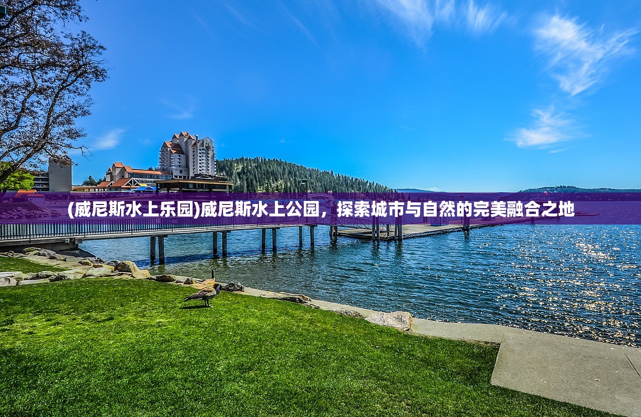 (威尼斯水上乐园)威尼斯水上公园，探索城市与自然的完美融合之地