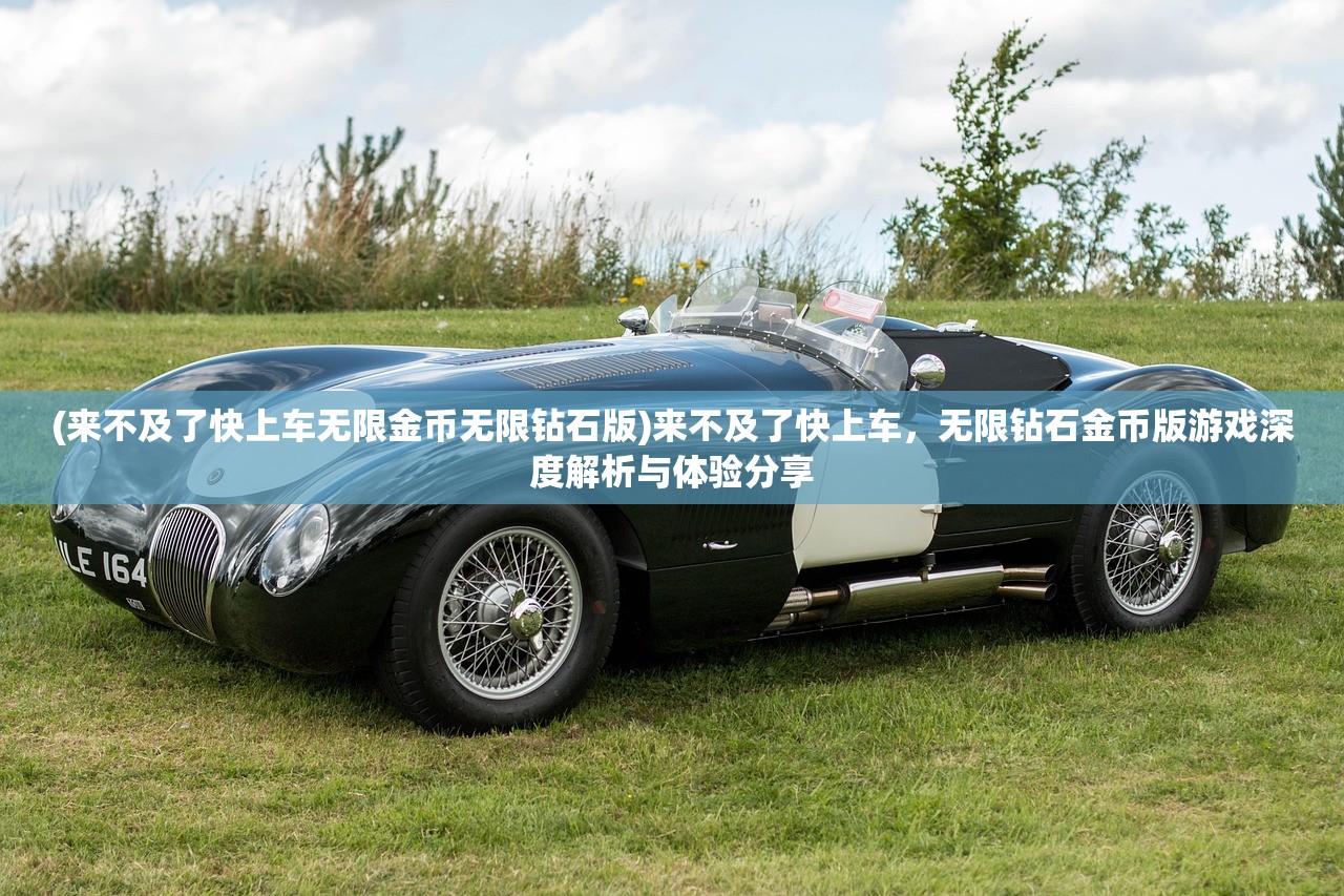 (来不及了快上车无限金币无限钻石版)来不及了快上车，无限钻石金币版游戏深度解析与体验分享