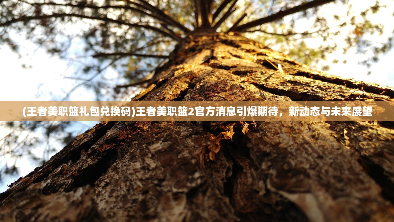 (王者美职篮礼包兑换码)王者美职篮2官方消息引爆期待，新动态与未来展望