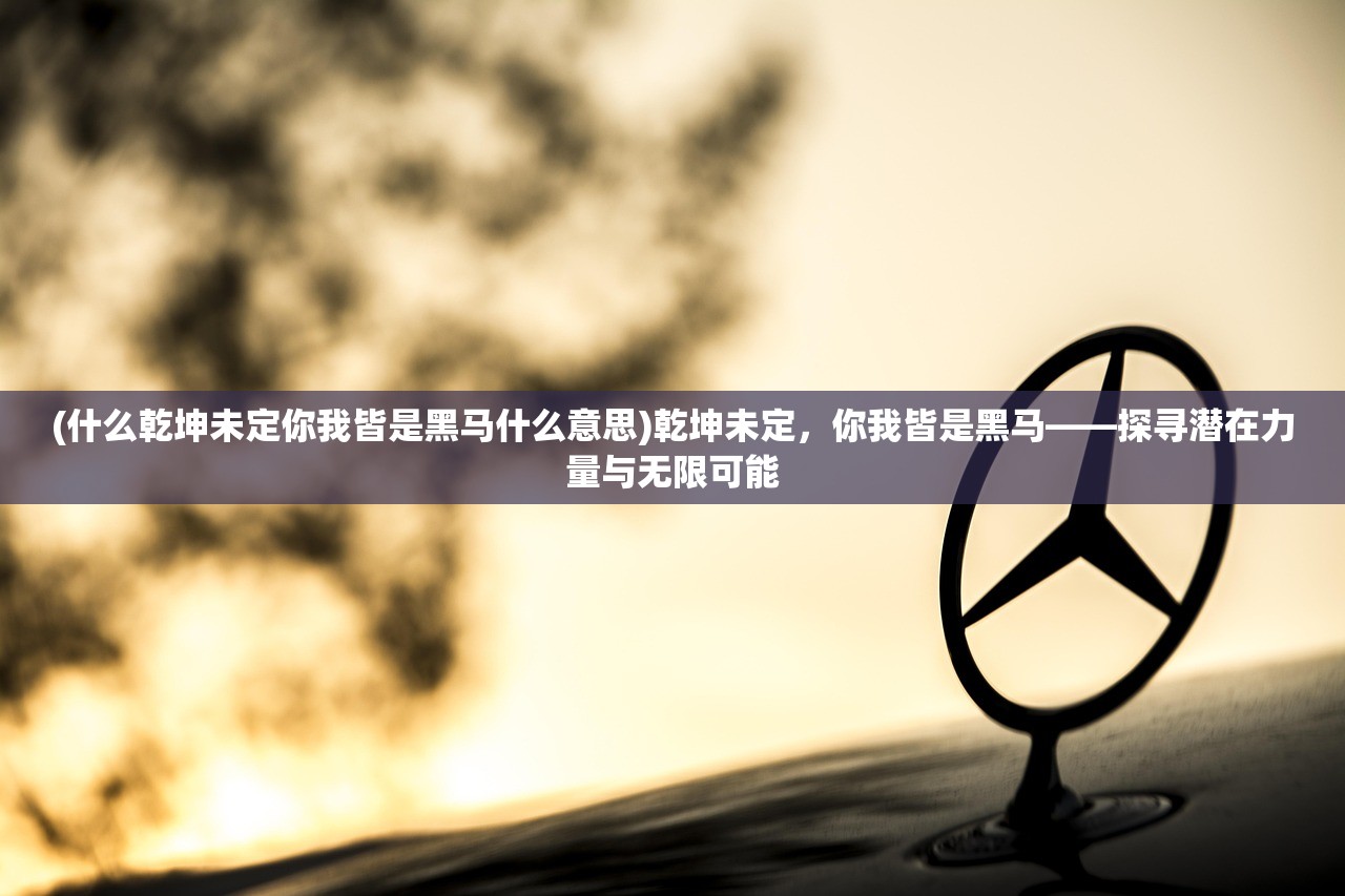 (什么乾坤未定你我皆是黑马什么意思)乾坤未定，你我皆是黑马——探寻潜在力量与无限可能
