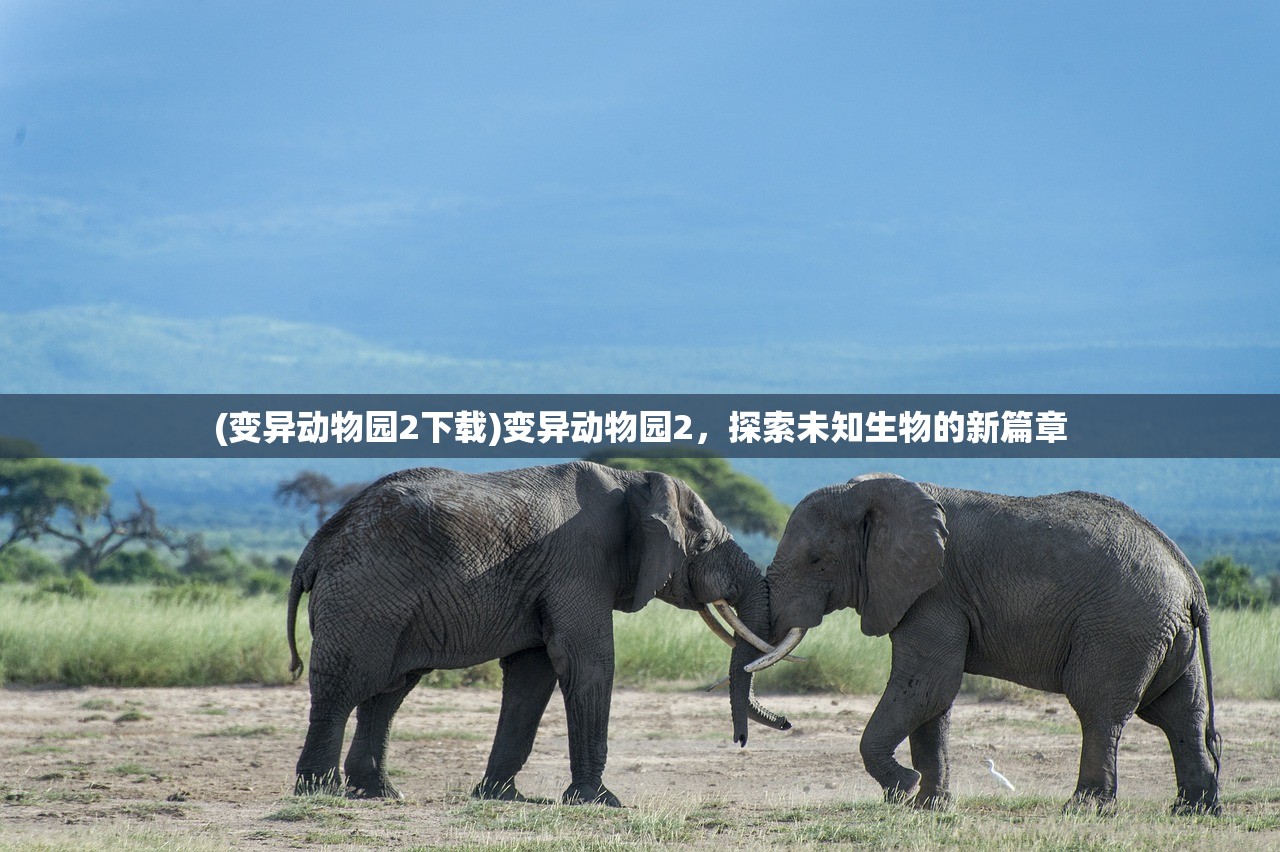 (造梦西游ol攻略唐僧技能)造梦西游OL攻略，唐僧角色深度解析与实战指南