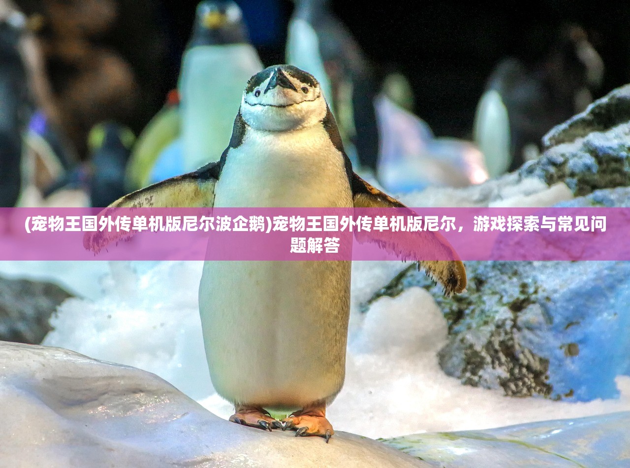 (宠物王国外传单机版尼尔波企鹅)宠物王国外传单机版尼尔，游戏探索与常见问题解答