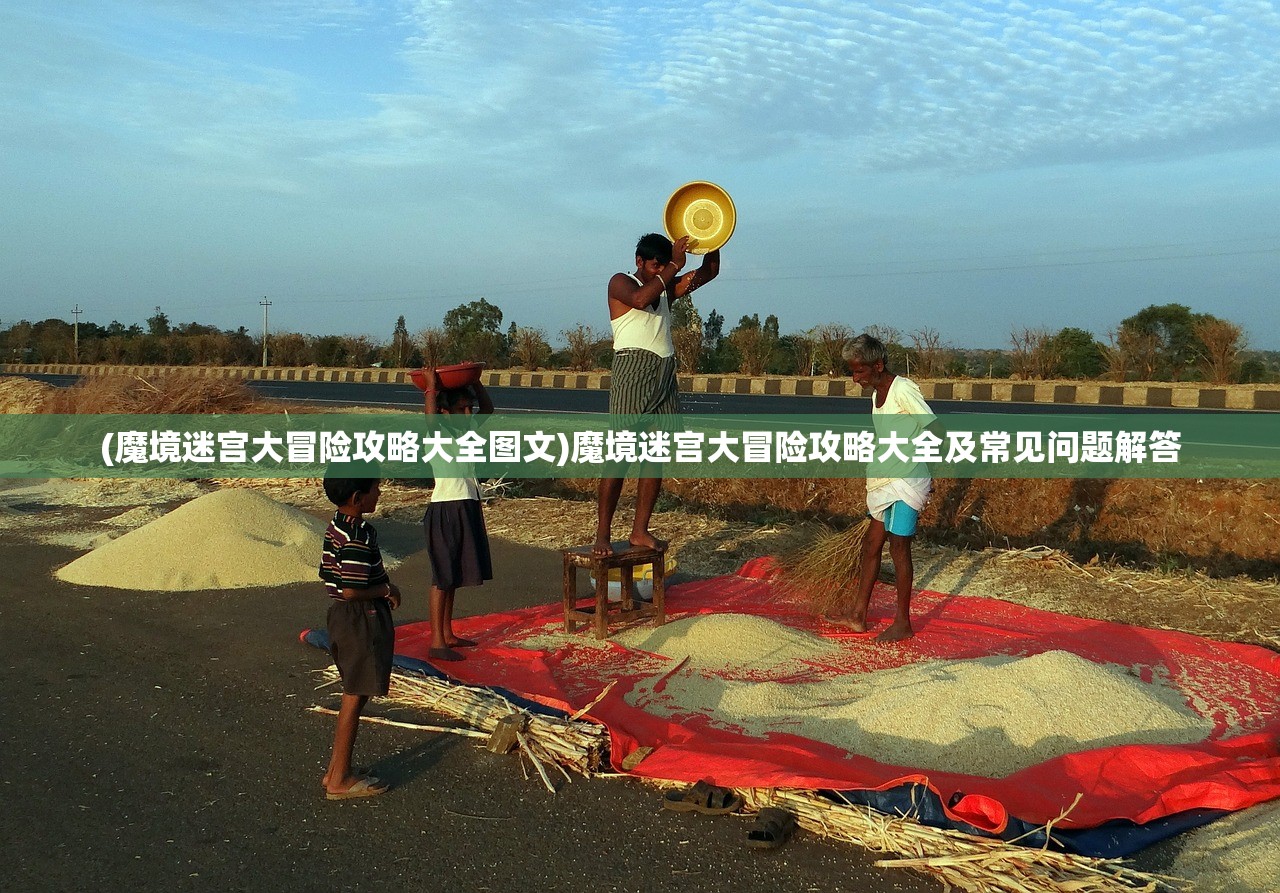 (魔境迷宫大冒险攻略大全图文)魔境迷宫大冒险攻略大全及常见问题解答
