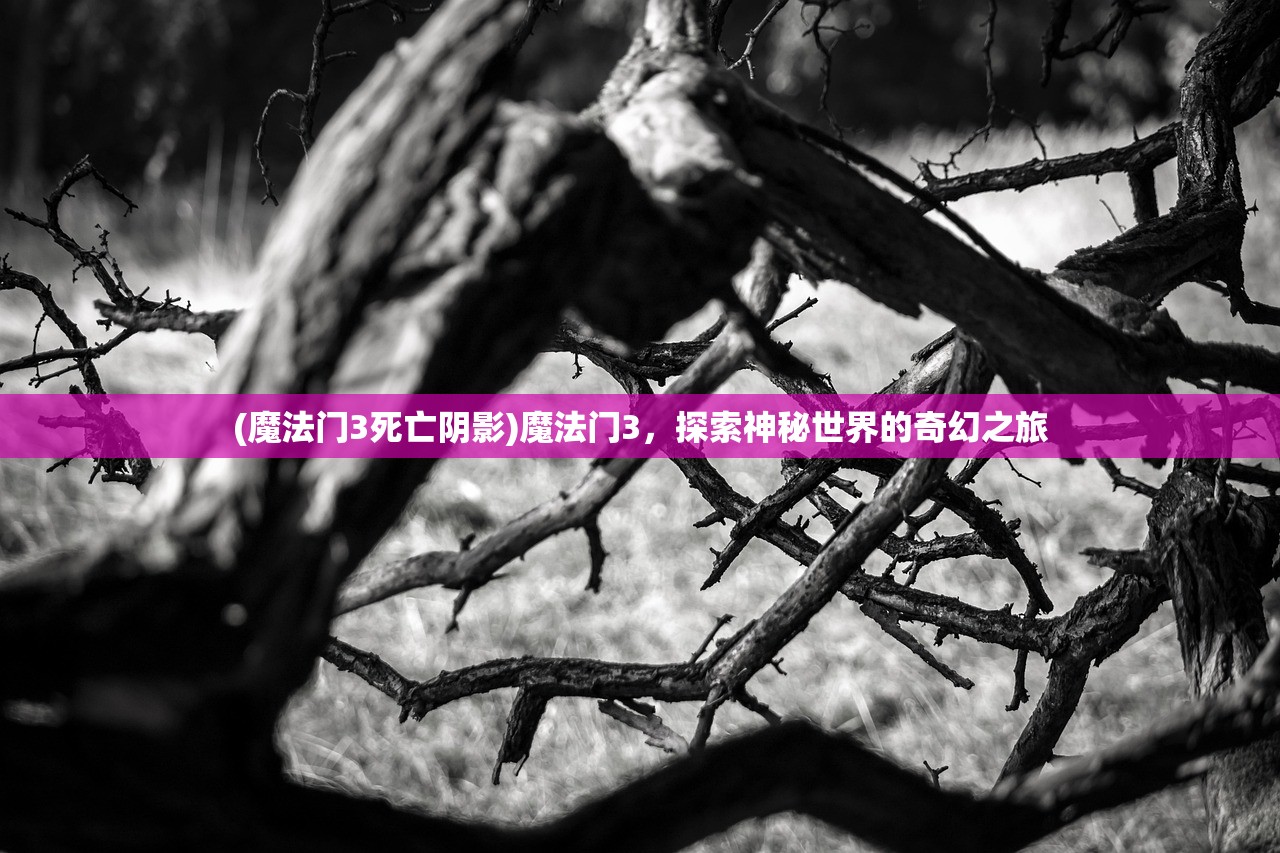 (魔法门3死亡阴影)魔法门3，探索神秘世界的奇幻之旅