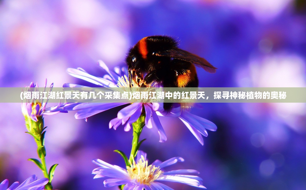 (烟雨江湖红景天有几个采集点)烟雨江湖中的红景天，探寻神秘植物的奥秘