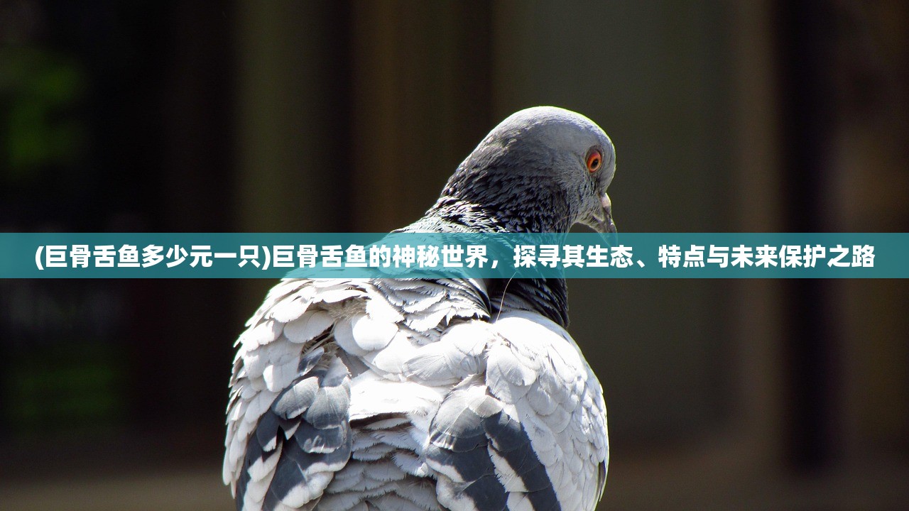 (巨骨舌鱼多少元一只)巨骨舌鱼的神秘世界，探寻其生态、特点与未来保护之路