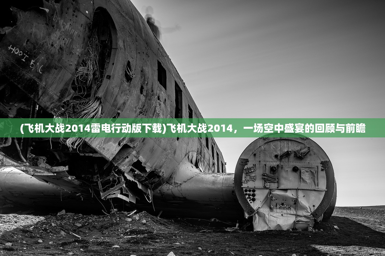 (飞机大战2014雷电行动版下载)飞机大战2014，一场空中盛宴的回顾与前瞻