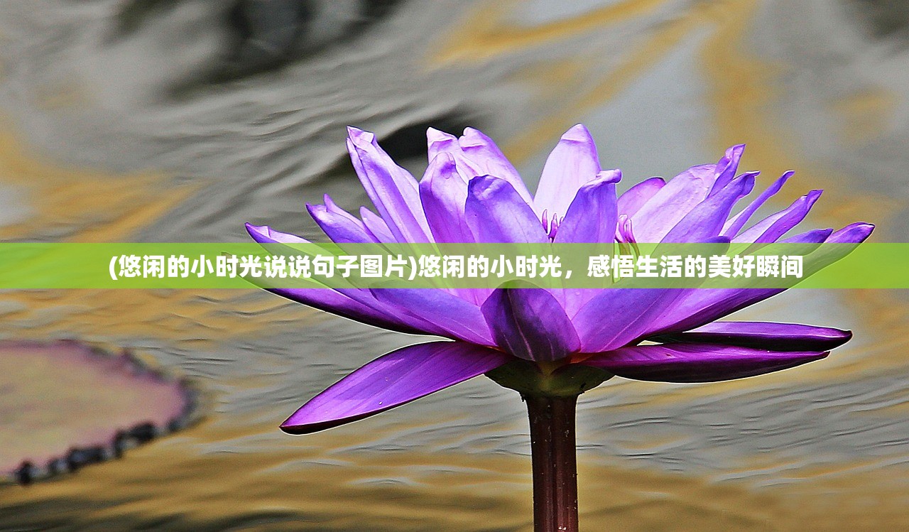 (悠闲的小时光说说句子图片)悠闲的小时光，感悟生活的美好瞬间